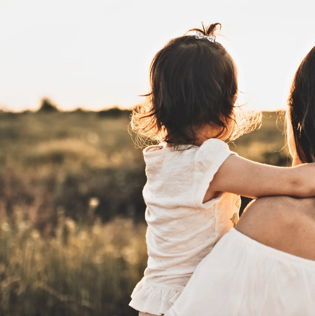 Purple Butterfly Hair Bows - Kofi Kreations