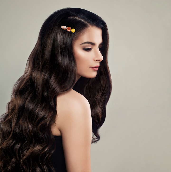 Autumn | Hair Clips